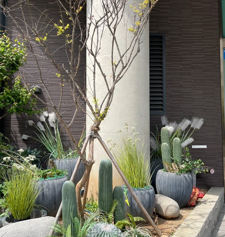 2024 04 27 Zeperito Wonderland