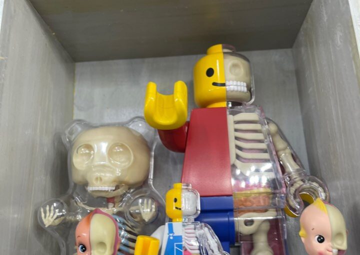 Zeperito Wonderland 2024 04 18