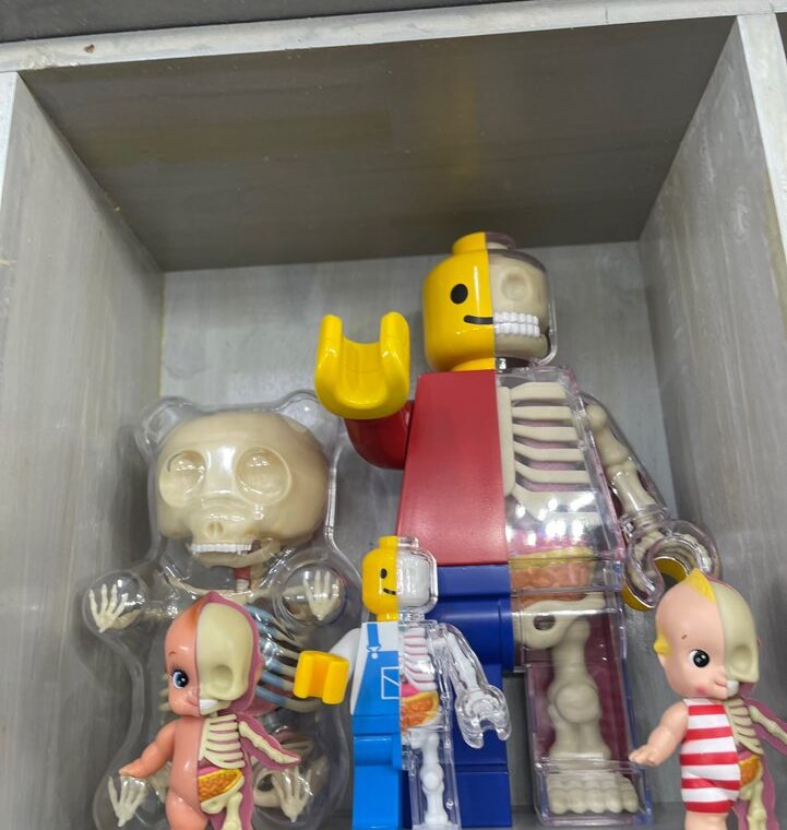 Zeperito Wonderland 2024 04 18