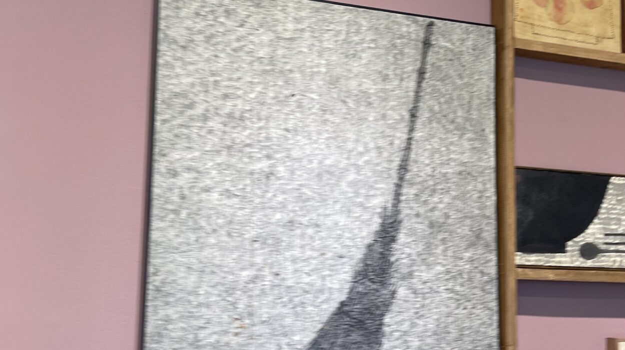 2024 05 13 Zeperito Wonderland