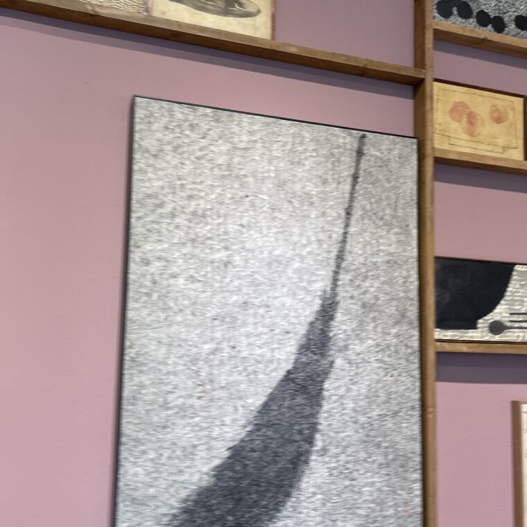 2024 05 13 Zeperito Wonderland