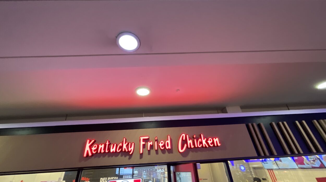 2024 05 15 Zeperito Wonderland