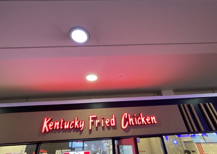 2024 05 15 Zeperito Wonderland