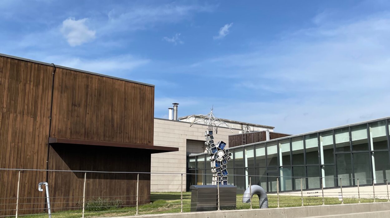 2024 05 17 Zeperito Wonderland