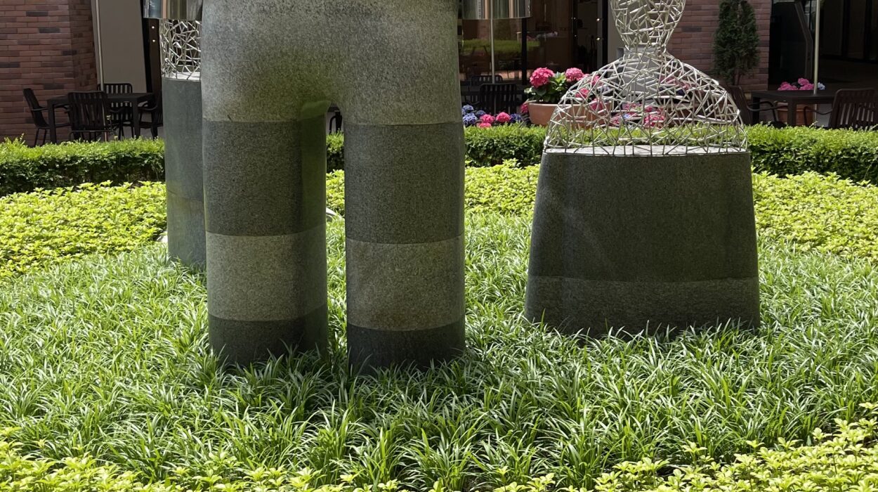 2024 05 23 Zeperito Wonderland