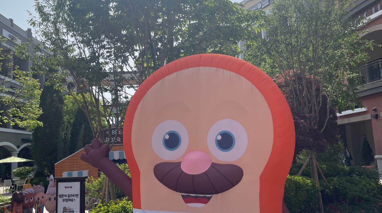 2024 05 19 Zeperito Wonderland