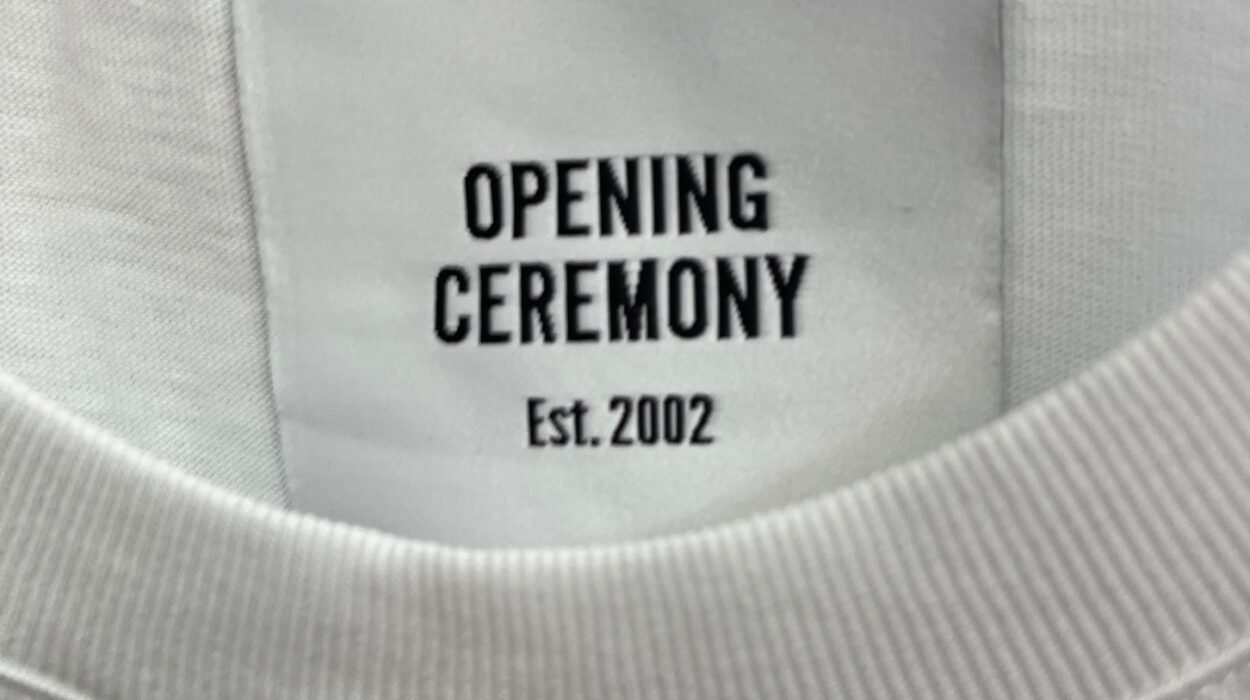 2024 05 29 Zeperito Wonderland