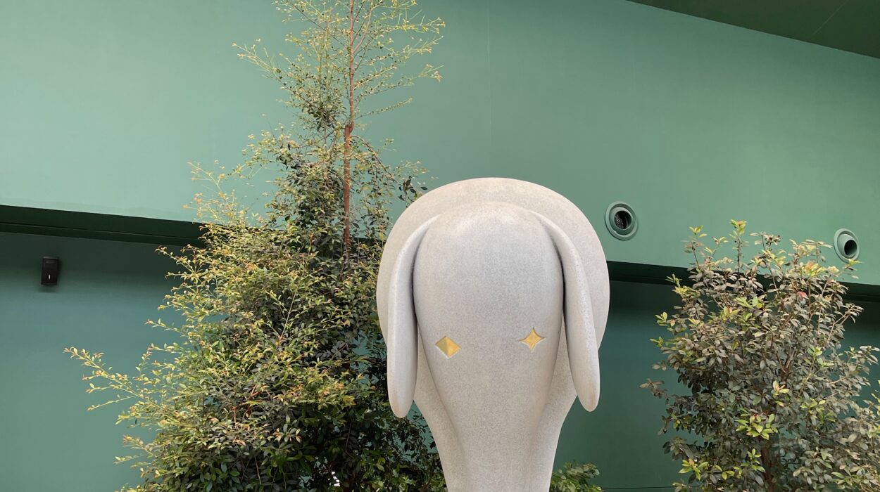 2024 06 11 Zeperito Wonderland