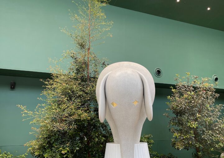 2024 06 11 Zeperito Wonderland