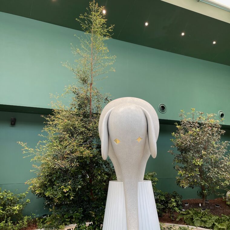 2024 06 11 Zeperito Wonderland