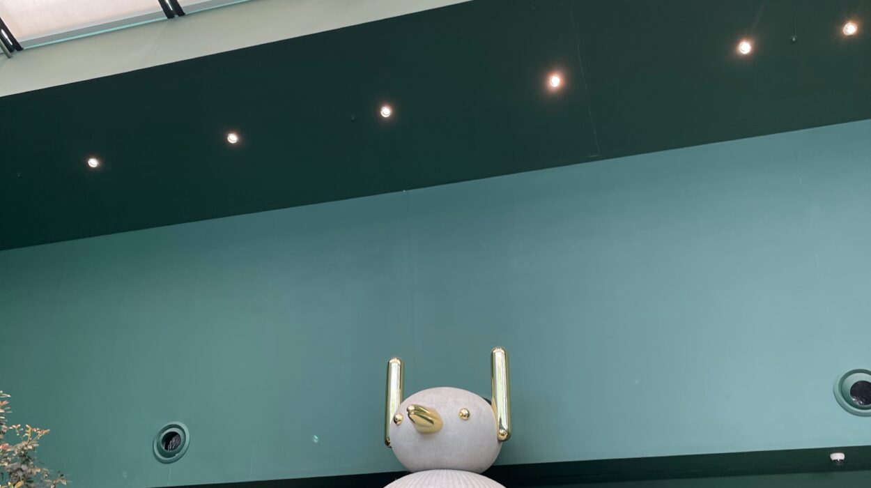 2024 06 14 Zeperito Wonderland