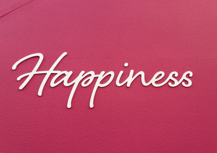 2024 06 09 Zeperito Wonderland