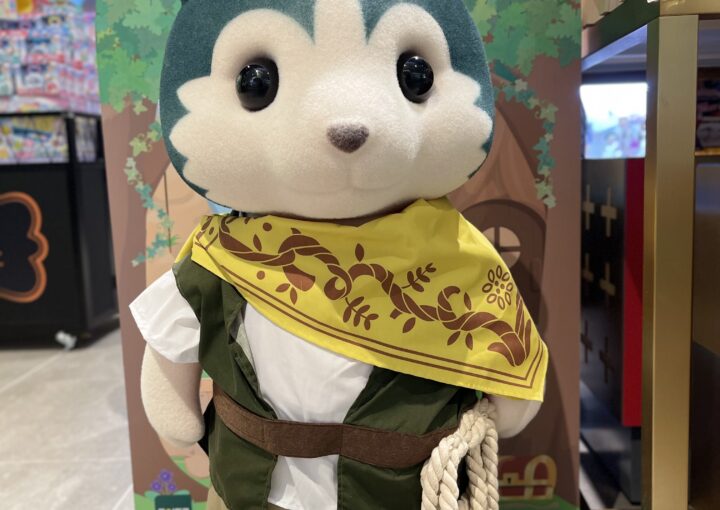 2024 06 19 Zeperito Wonderland