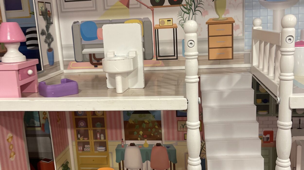 2024 06 24 Zeperito Wonderland