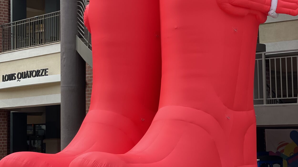 2024 06 23 Zeperito Wonderland