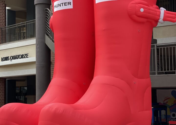 2024 06 23 Zeperito Wonderland