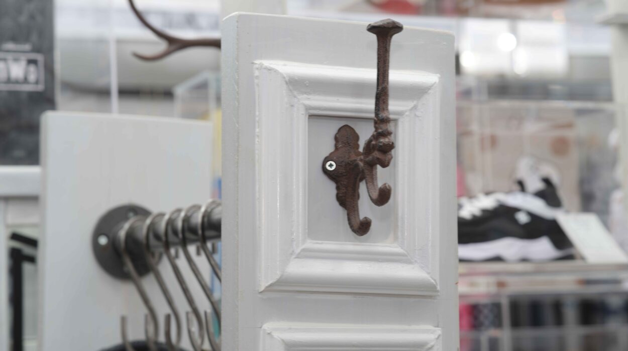 2024 08 11 Zeperito Wonderland