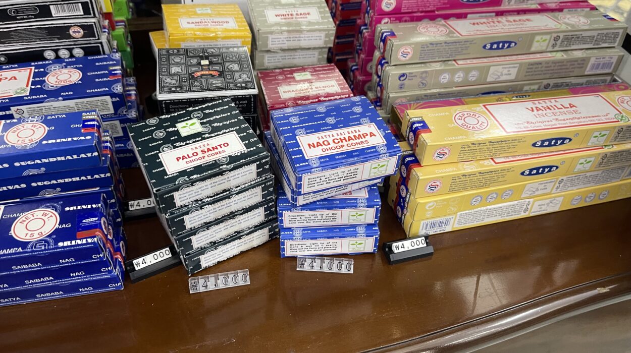 2024 07 15 Zeperito Wonderland