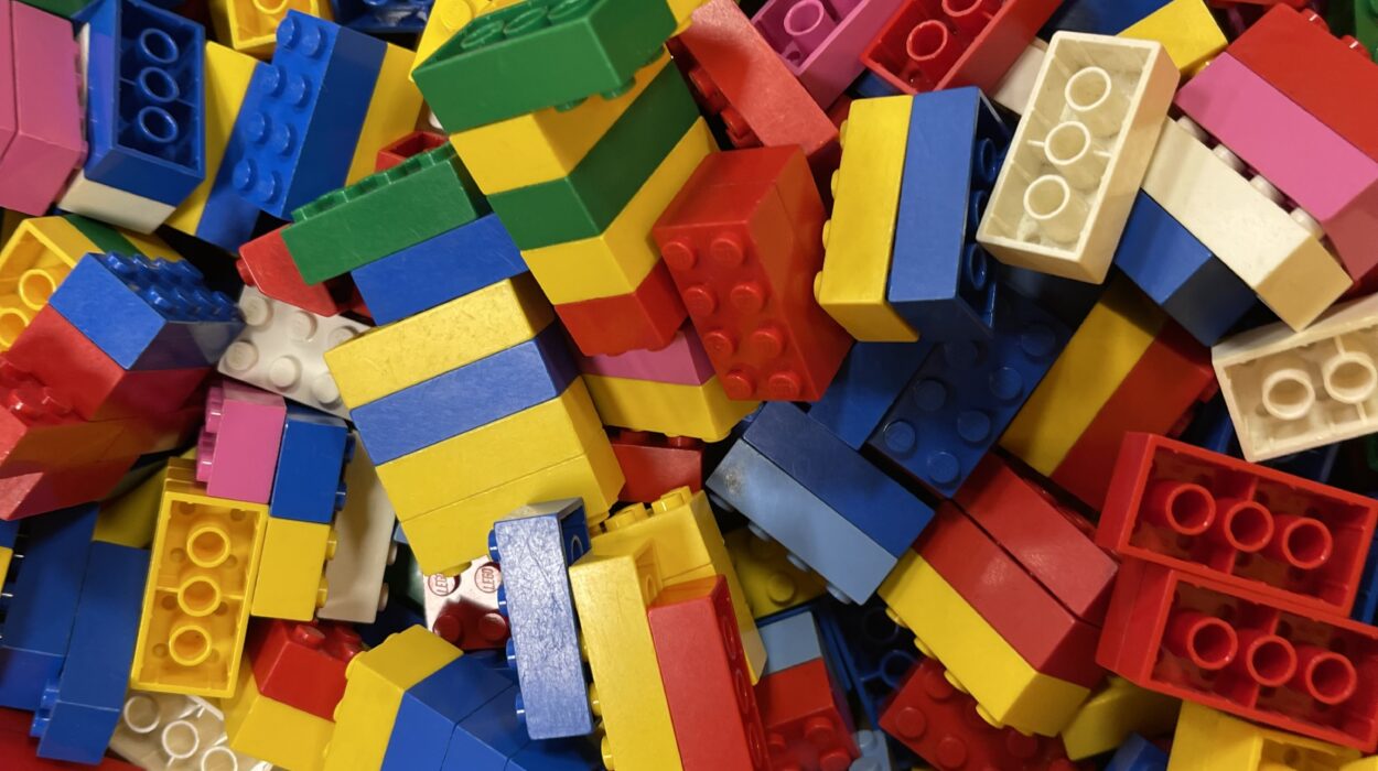 2024 07 04 Zeperito Wonderland