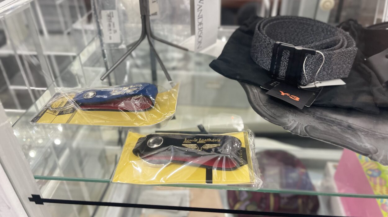 2024 07 10 Zeperito Wonderland