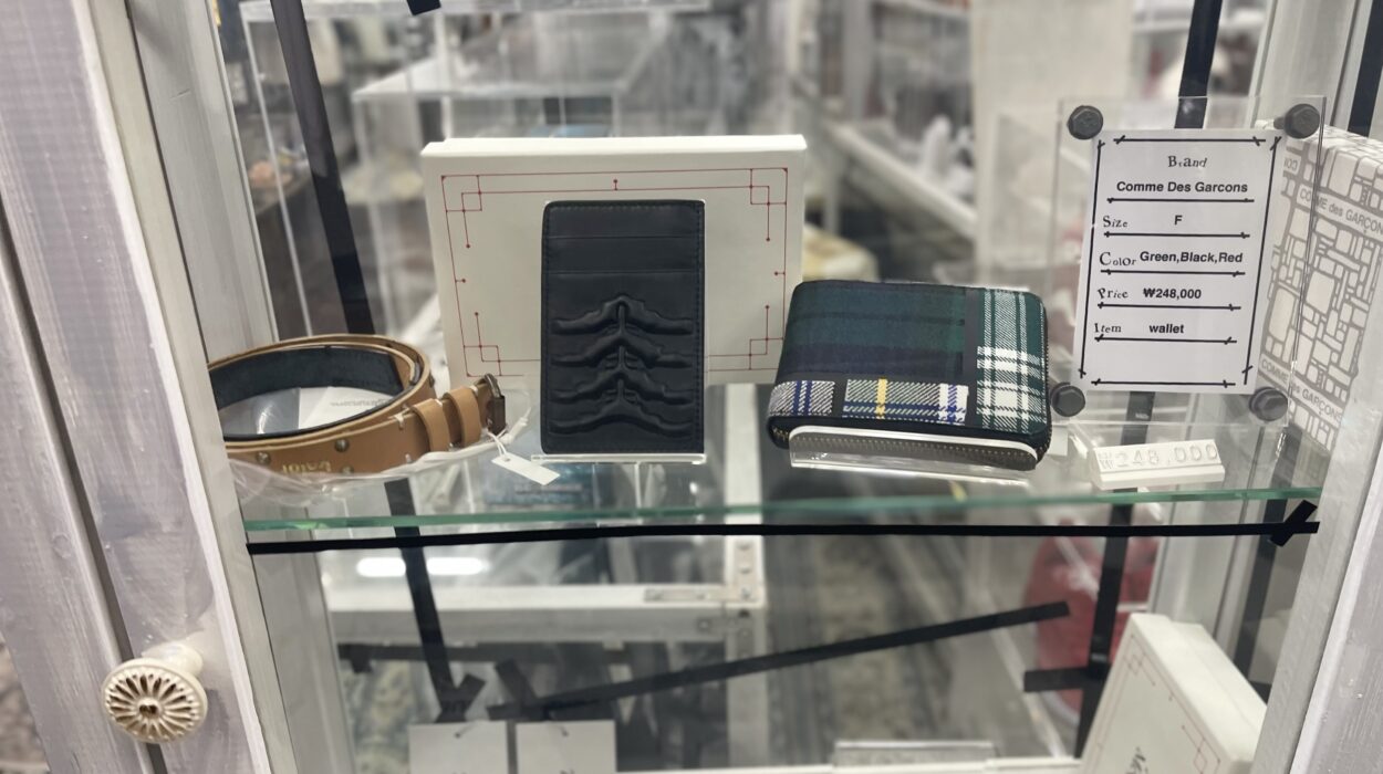 2024 07 20 Zeperito Wonderland