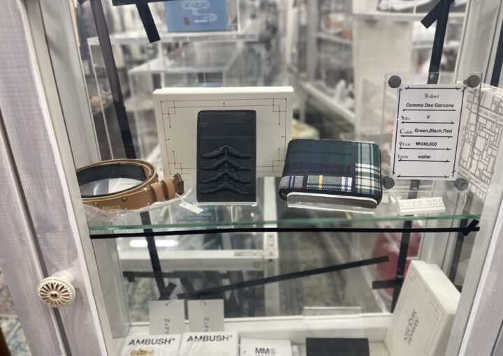 2024 07 20 Zeperito Wonderland