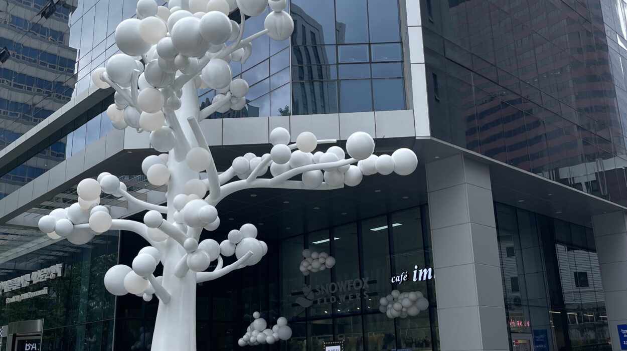 2024 07 12 Zeperito Wonderland