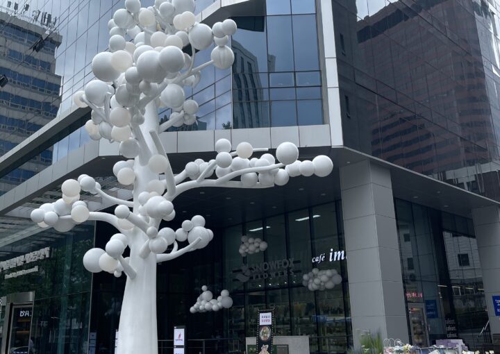 2024 07 12 Zeperito Wonderland