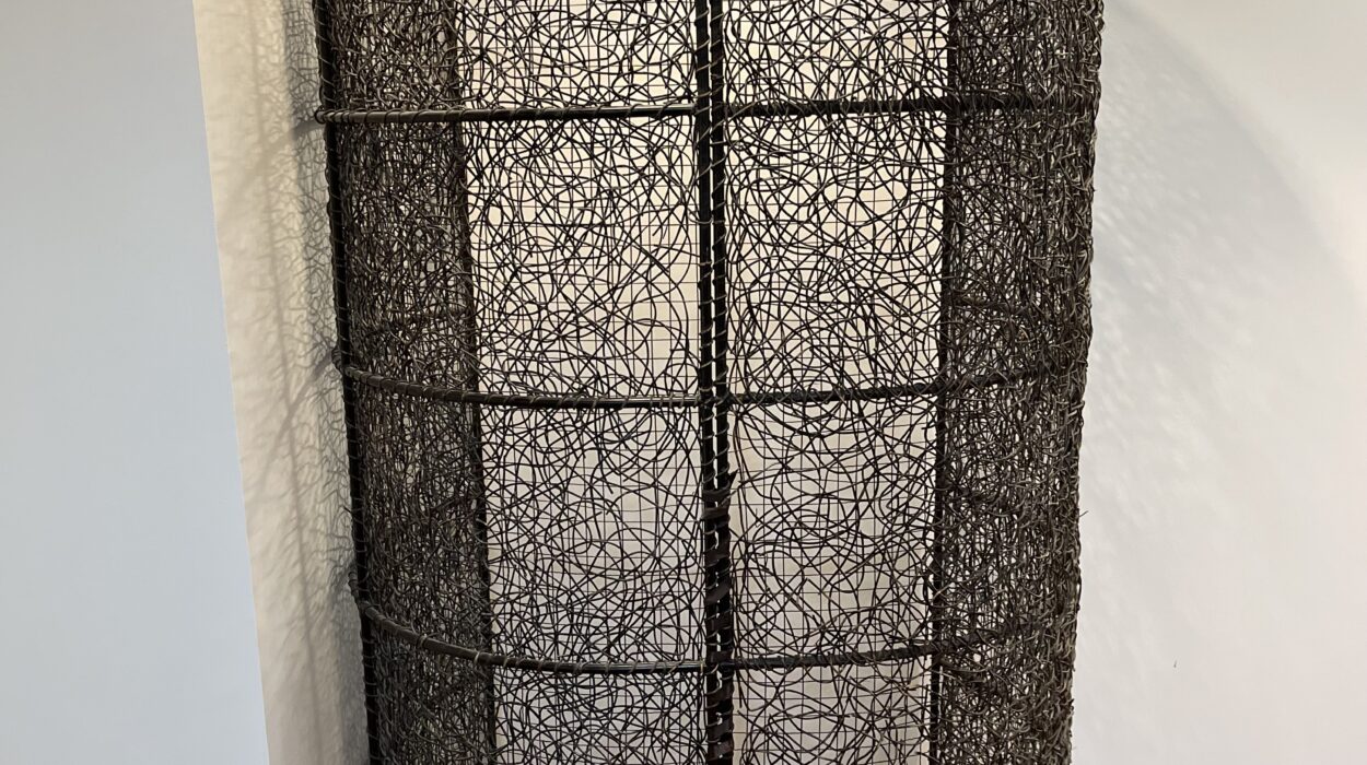 2024 07 14 Zeperito Wonderland