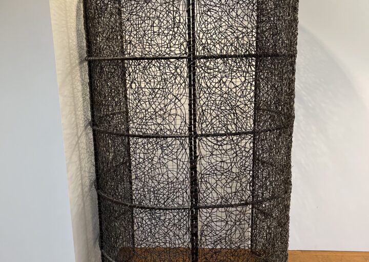 2024 07 14 Zeperito Wonderland