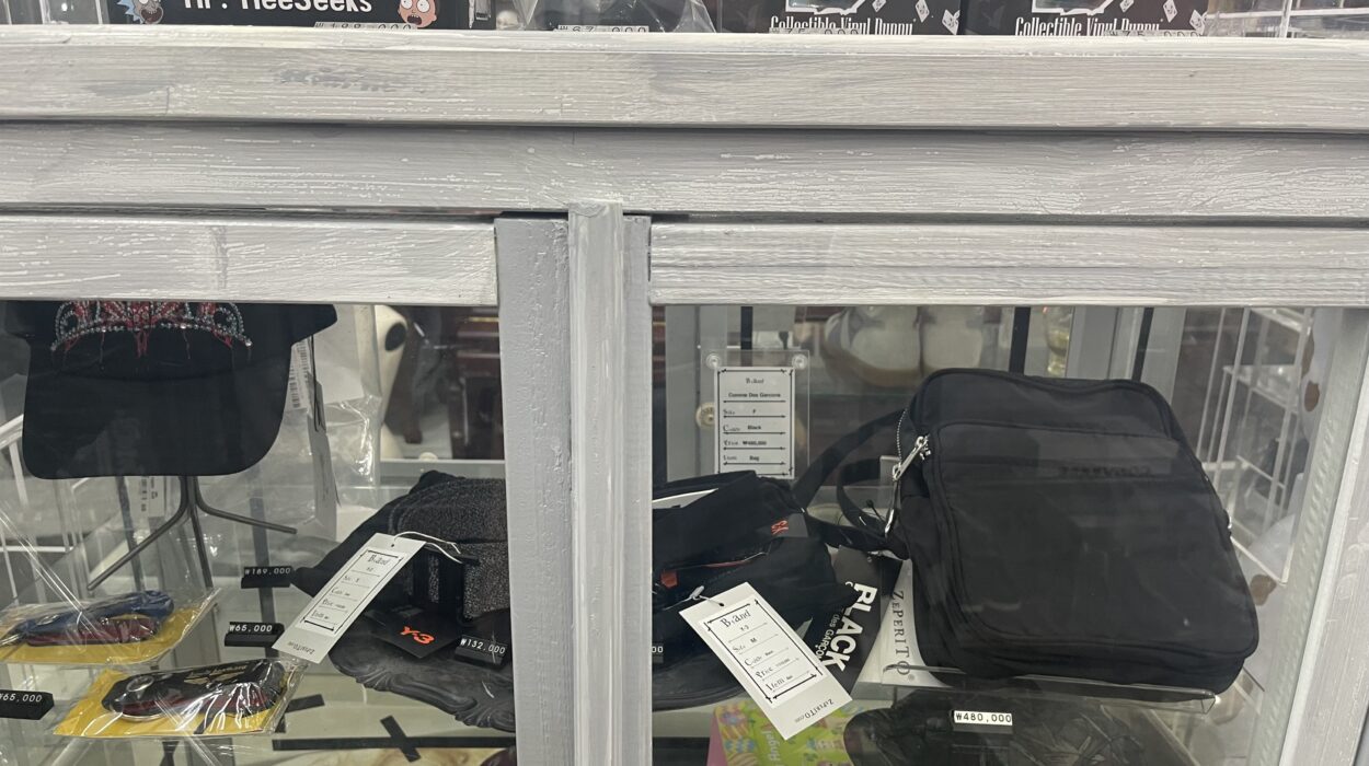 2024 07 22 Zeperito Wonderland