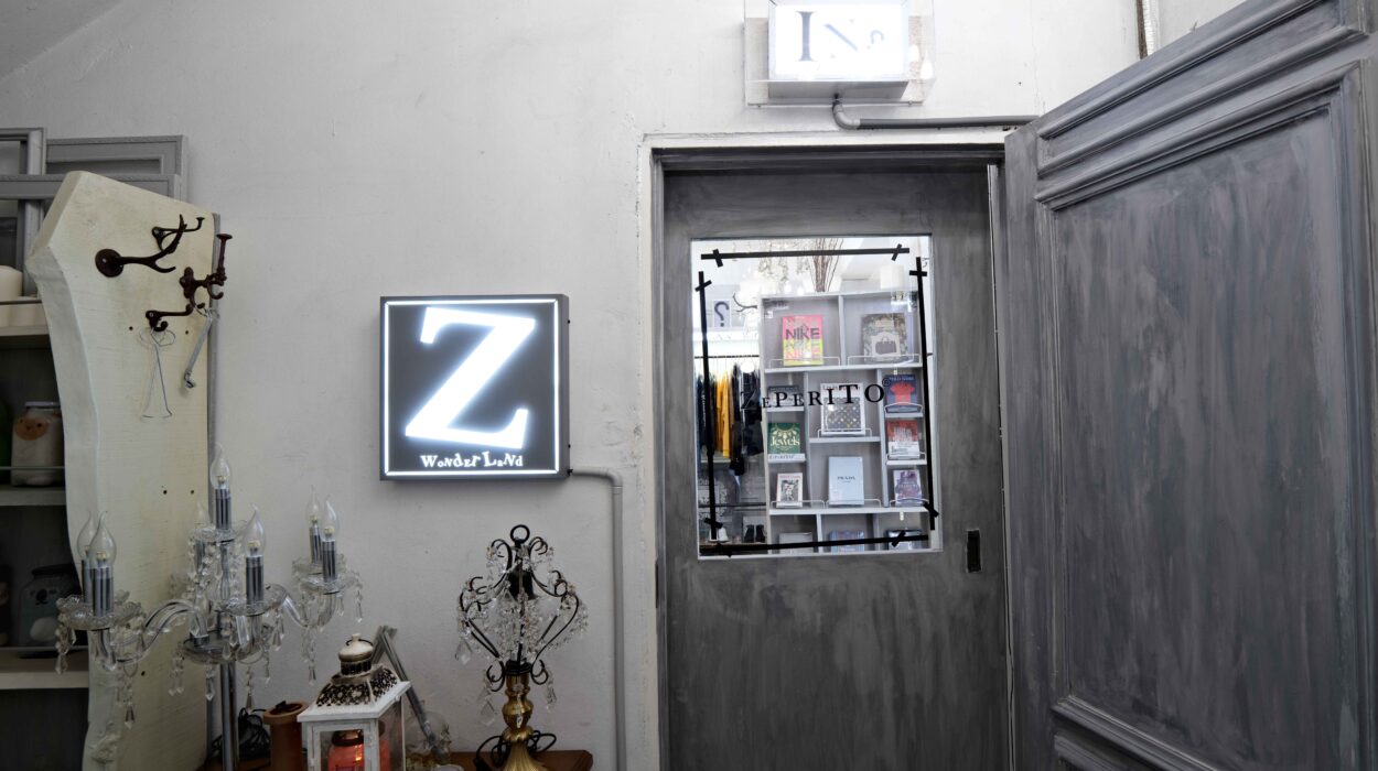 2024 07 26 Zeperito Wonderland