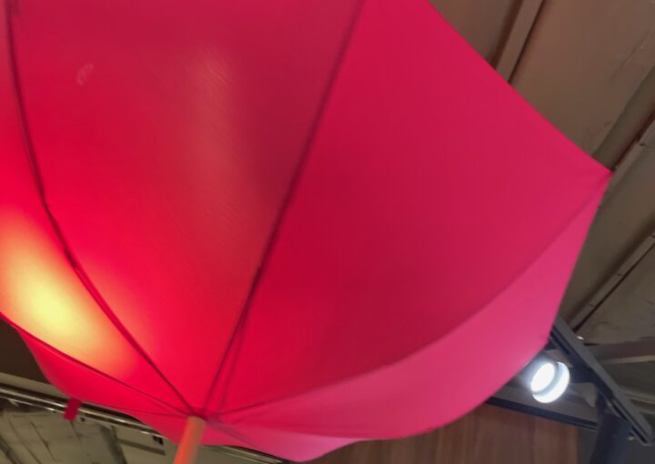 2024 08 24 Zeperito Wonderland