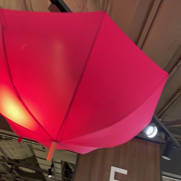 2024 08 24 Zeperito Wonderland