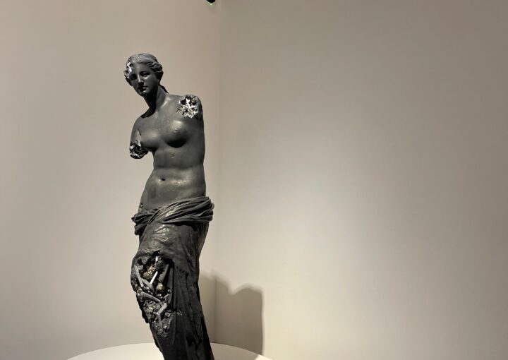 2024 09 19 Zeperito Wonderland