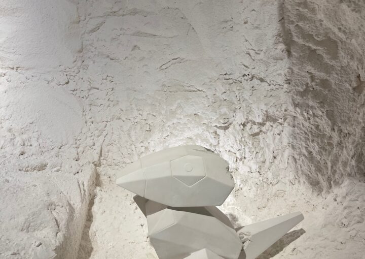 2024 09 05 Zeperito Wonerland