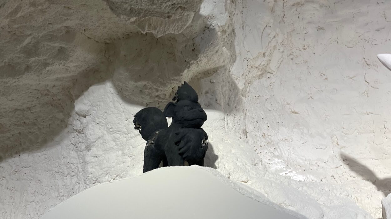 2024 08 31 Zeperito Wonerland