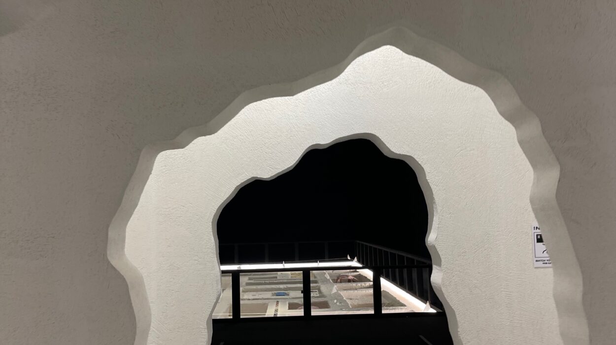 2024 09 20 Zeperito Wonderland