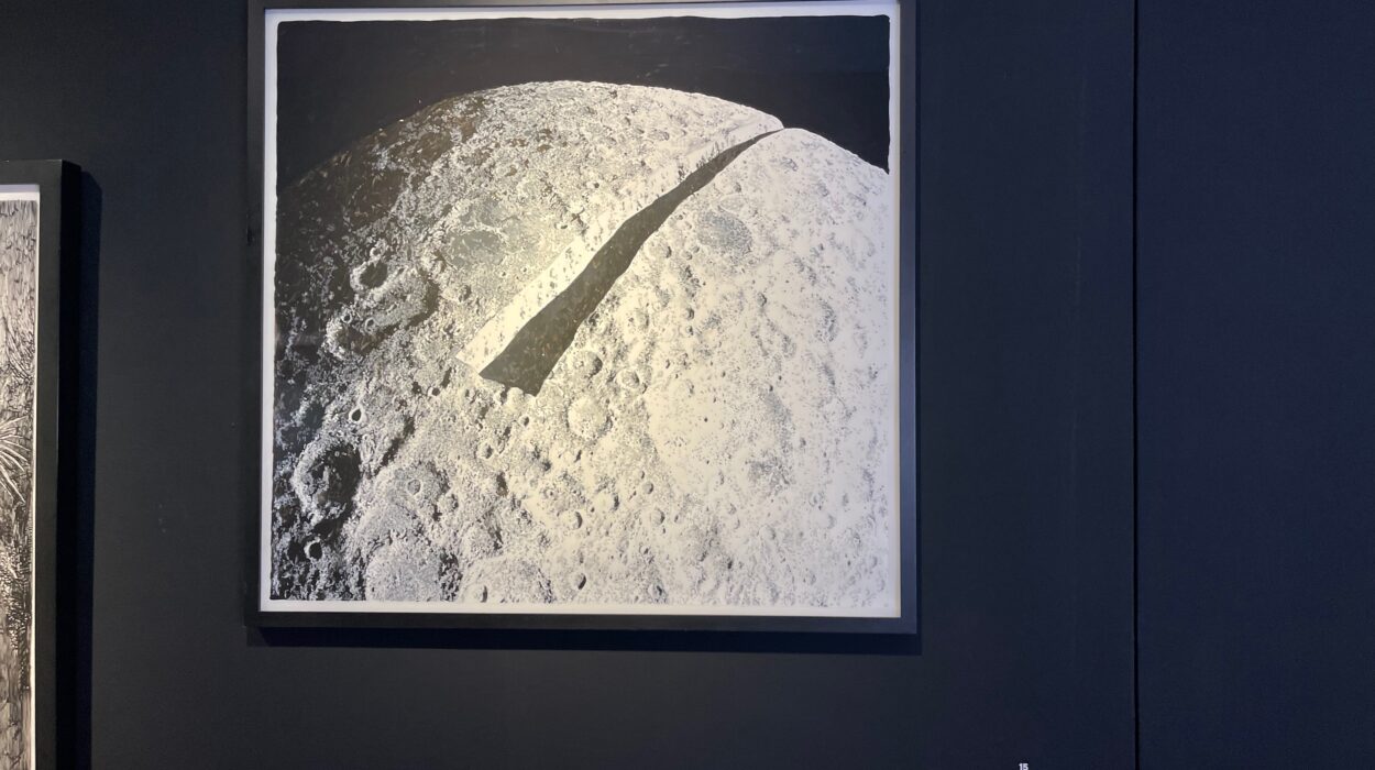 2024 09 08 Zeperito Wonderland