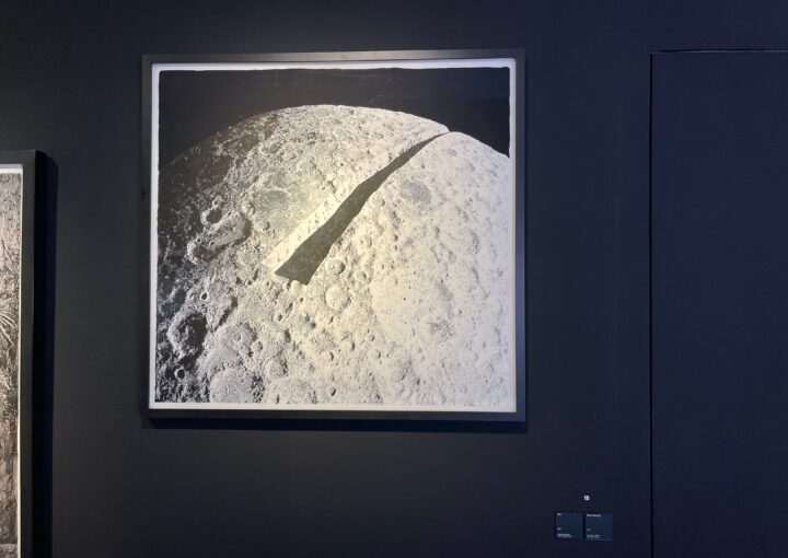 2024 09 08 Zeperito Wonderland