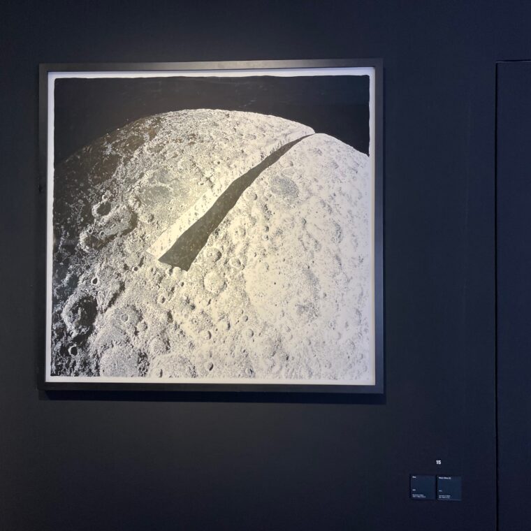 2024 09 08 Zeperito Wonderland