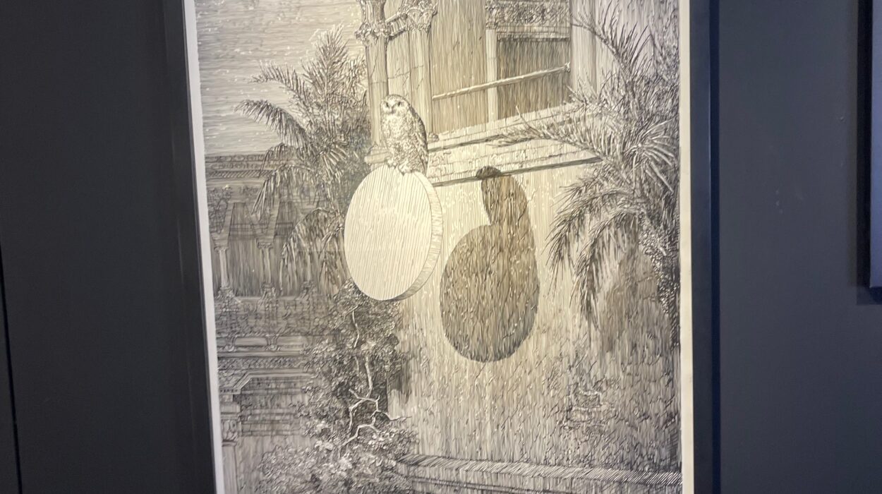 2024 09 03 Zeperito Wonerland