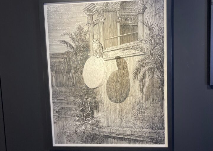 2024 09 03 Zeperito Wonerland