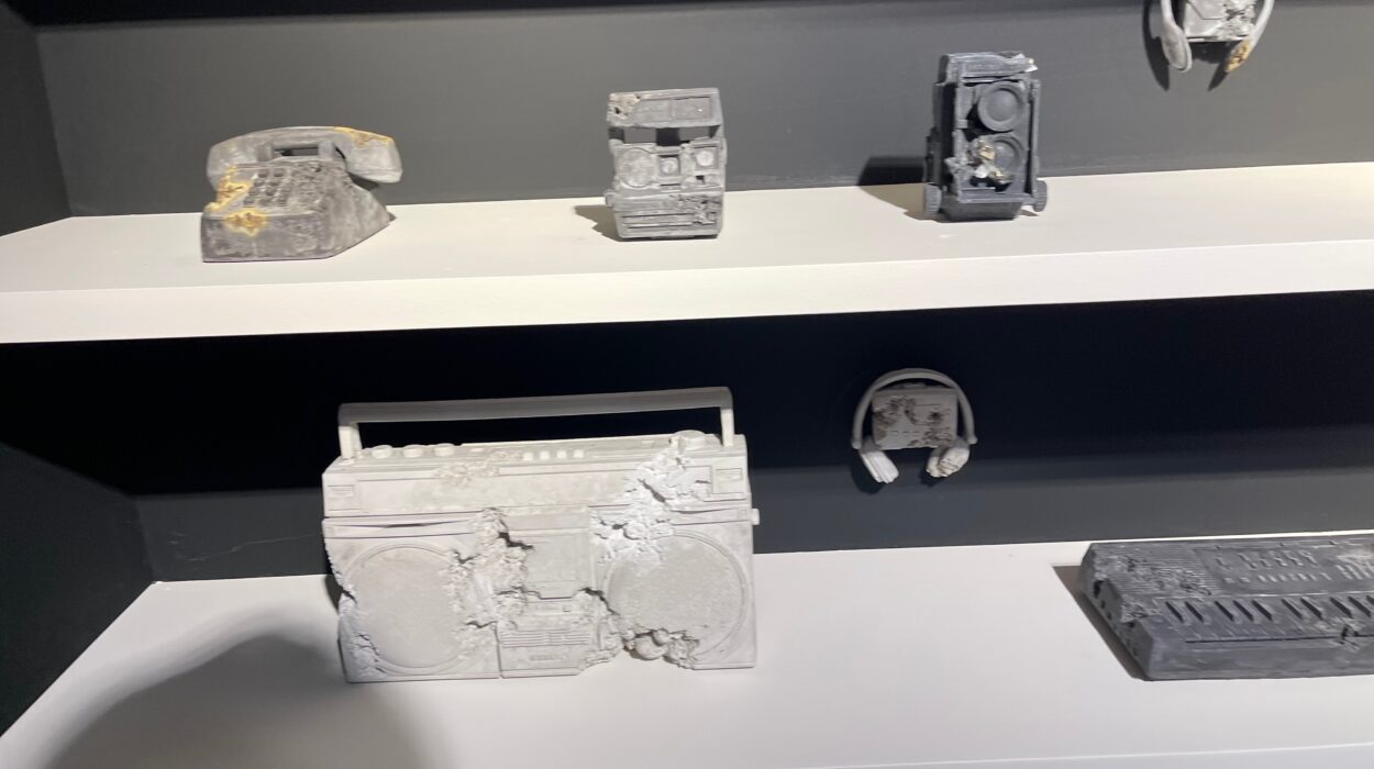 2024 09 06 Zeperito Wonderland