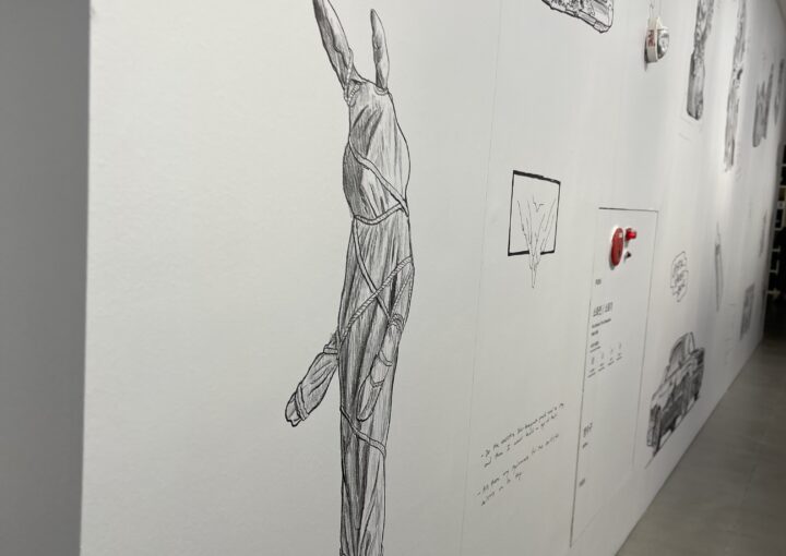 2024 09 15 Zeperito Wonderland