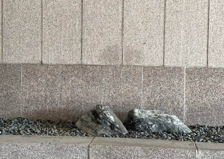 2024 08 12 Zeperito Wonderland