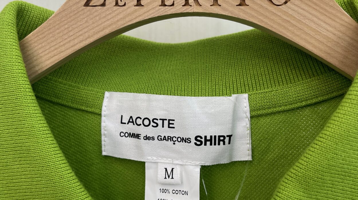 2024 08 17 Zeperito Wonderland