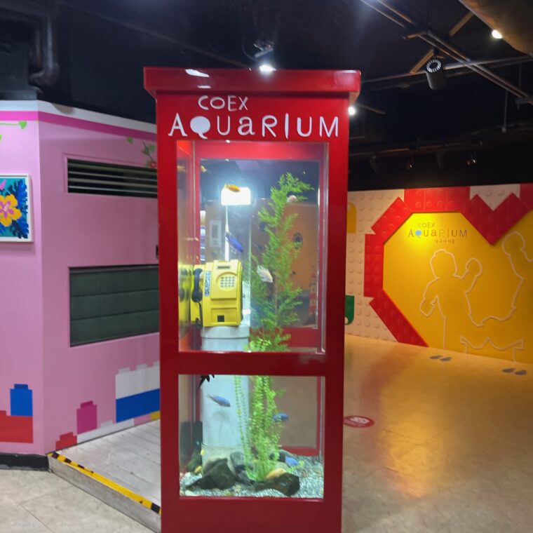 2024 08 20 Zeperito Wonderland