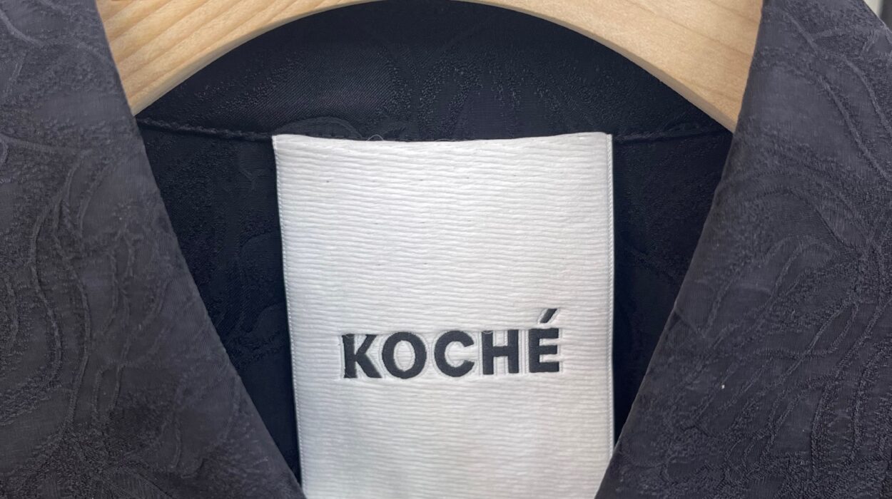 2024 08 22 Zeperito Wonderland