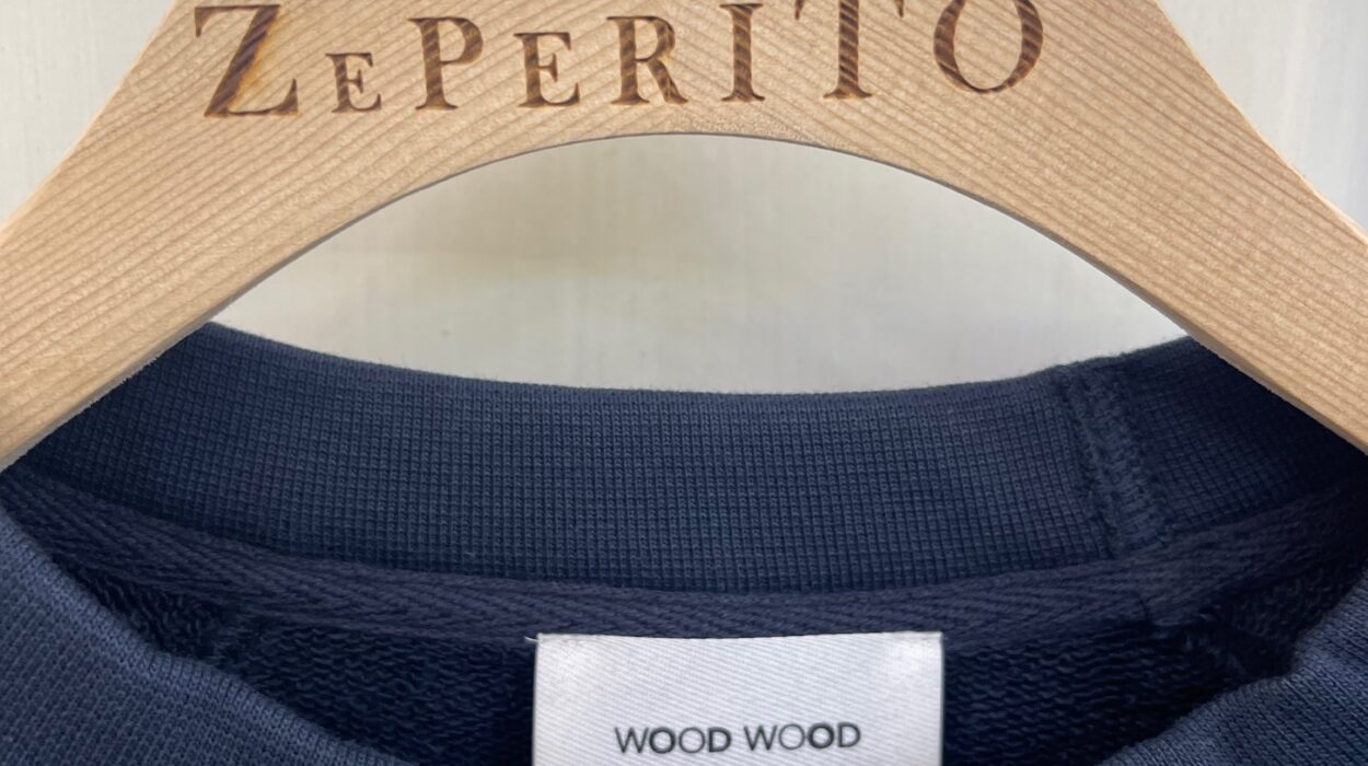 2024 08 21 Zeperito Wonderland